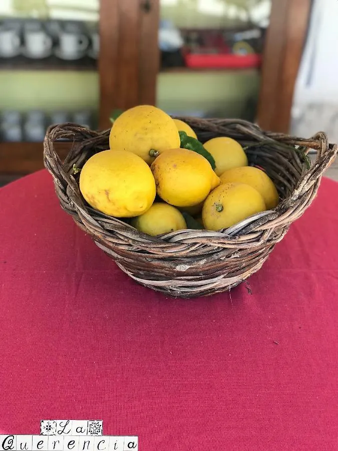 La Querencia Hotel Palermo Gæstehus